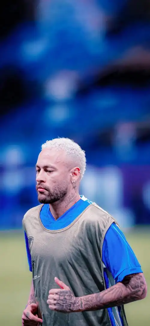 临的新赛季 临的新赛季