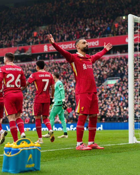 完美融合了 完美融合了